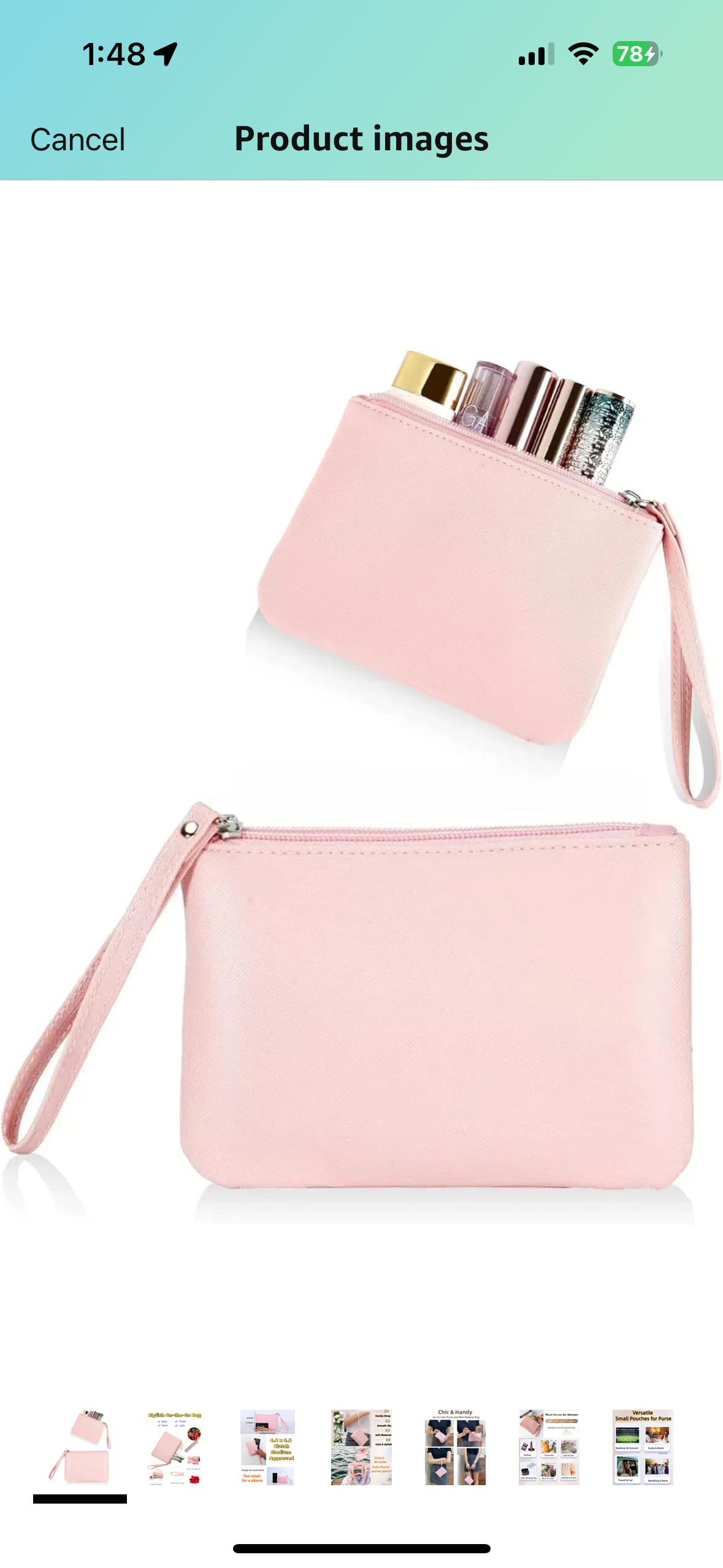 Small zippered pouch