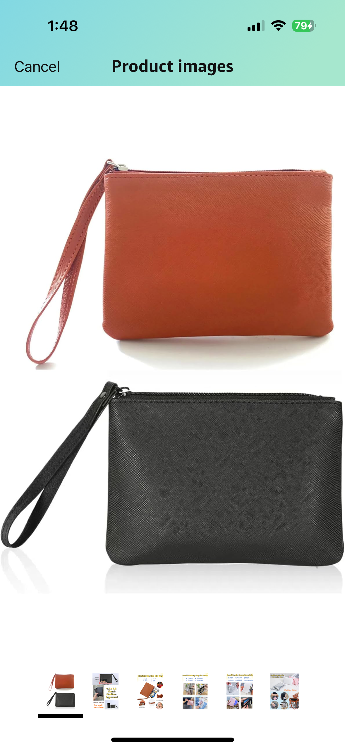 Small zippered pouch