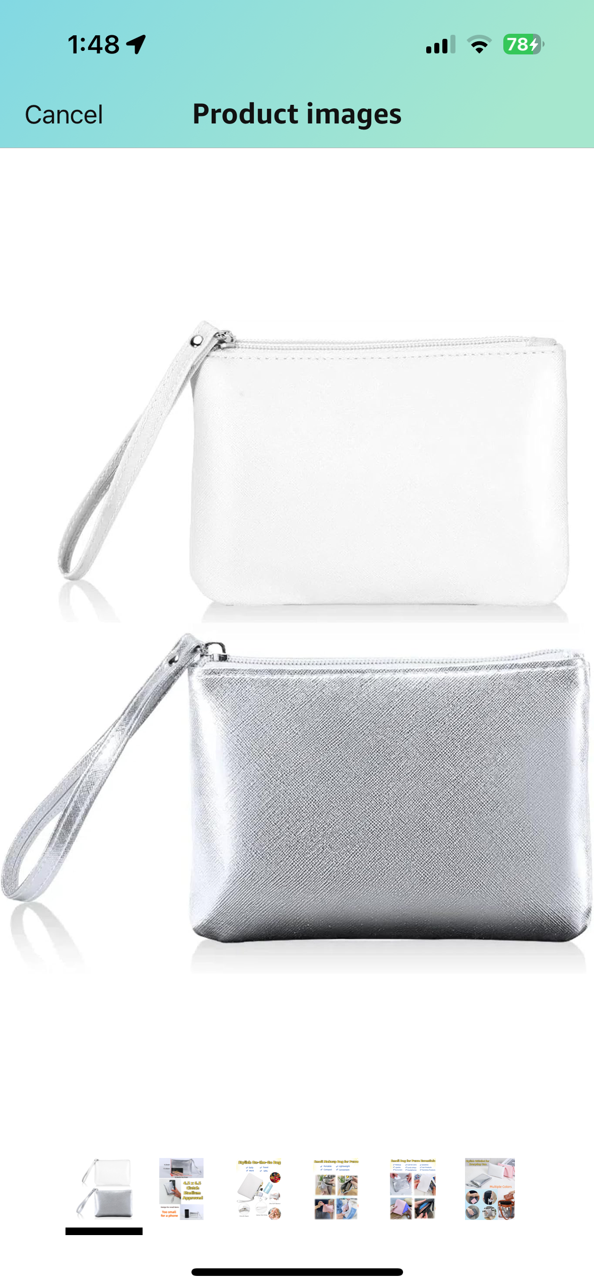 Small zippered pouch